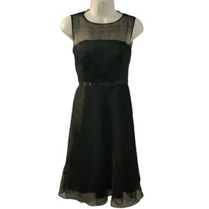 Express Silk Dress